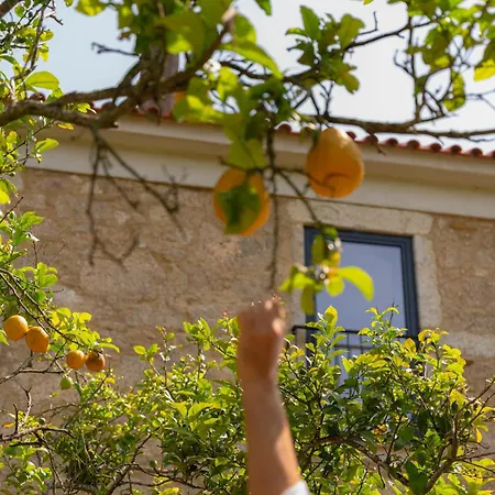 Casa Pitoresca No Norte De Portugal * Gemeses