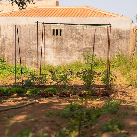 Casa Pitoresca No Norte De Portugal * Gemeses